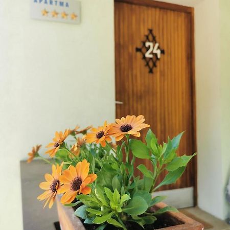 Apartma Rekar - A House, Where You Can Relax In The Embrace Of Nature Jesenice Dış mekan fotoğraf