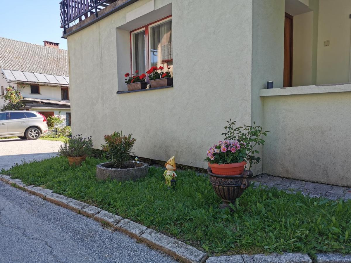 Apartma Rekar - A House, Where You Can Relax In The Embrace Of Nature Jesenice Dış mekan fotoğraf