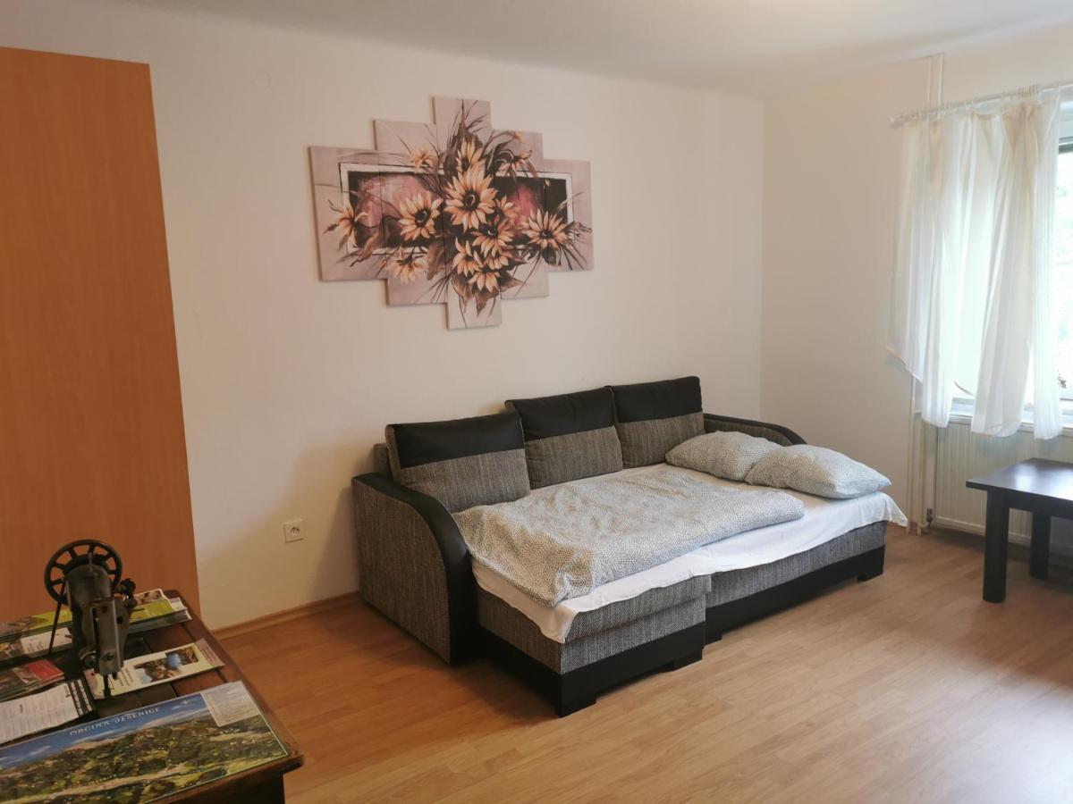 Apartma Rekar - A House, Where You Can Relax In The Embrace Of Nature Jesenice Dış mekan fotoğraf